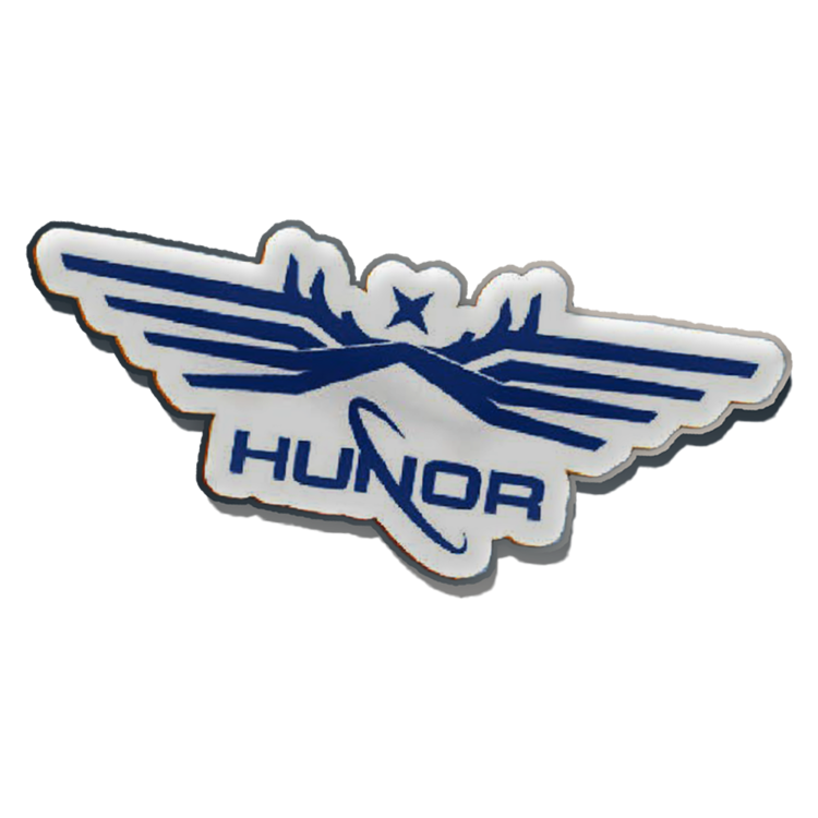 Kitűző - Astronaut wing patch